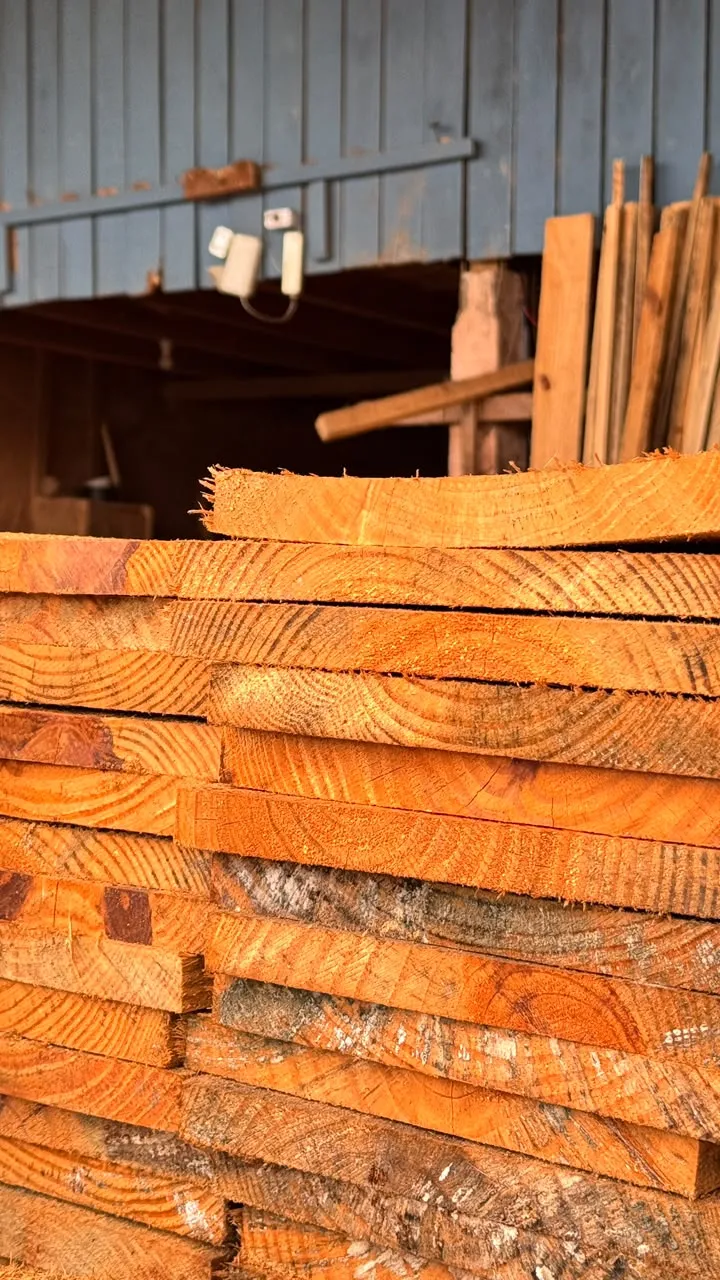 Tábuas de madeira no setor de madeiras